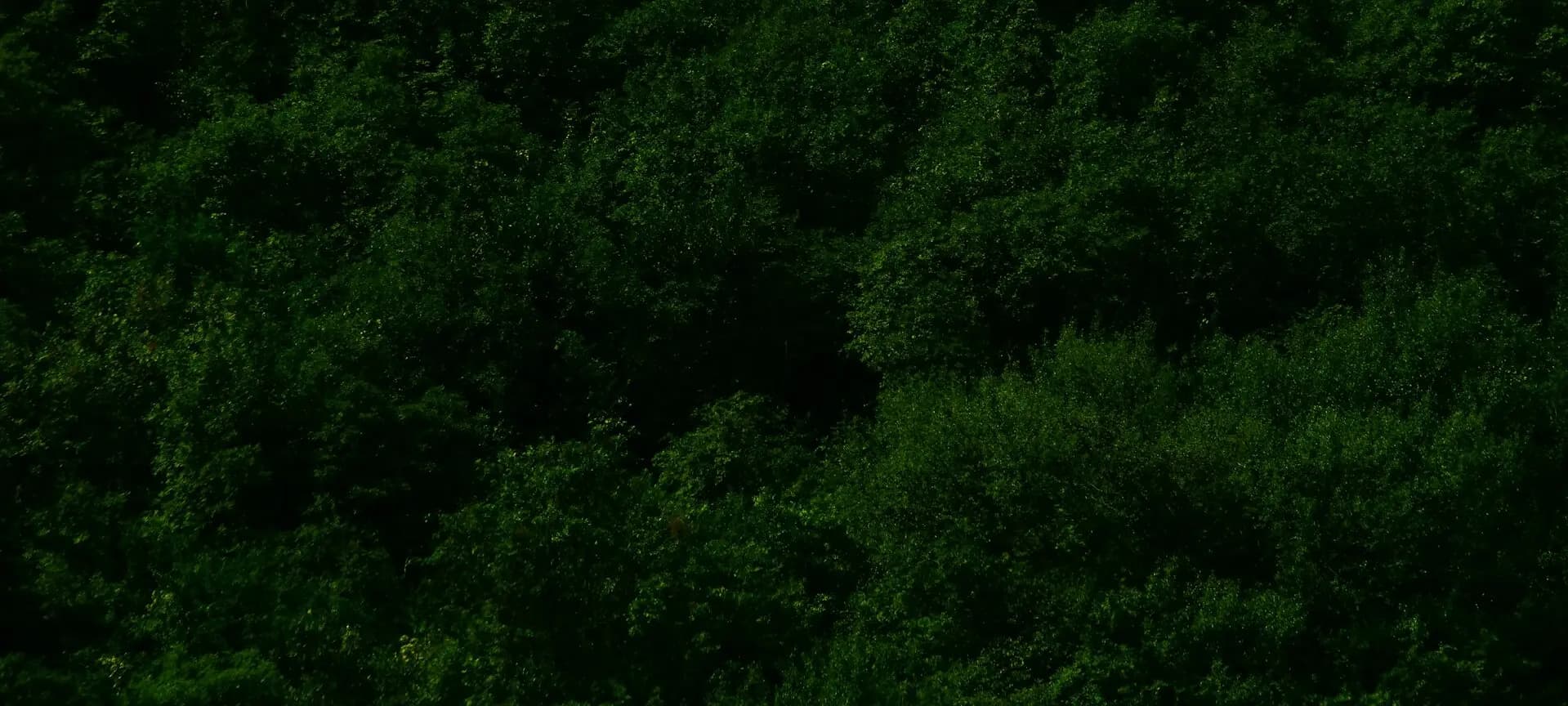 Rustig natuurlandschap dat offline gaan verbeeldt